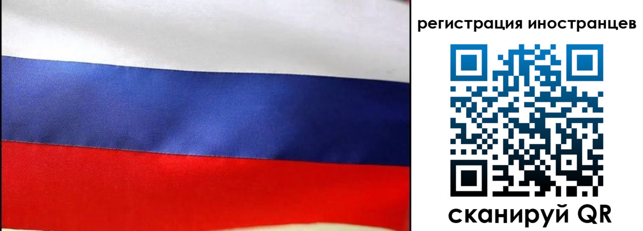 прописка регистрация в Павловском Посаде